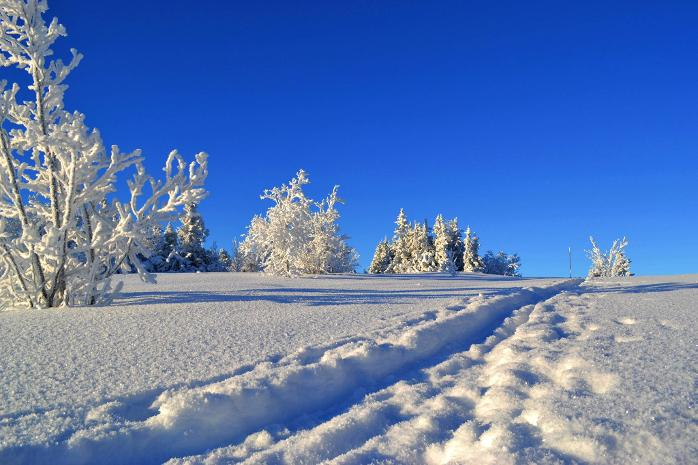 Wintercamp på Nystølen samlet ungdom fra hele verden